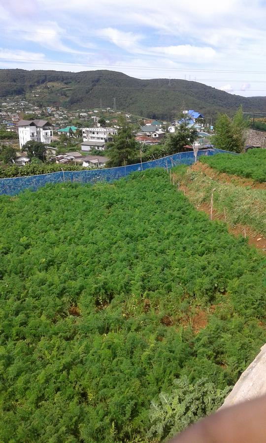 Rainyfreindz Hotel Nuwara Eliya Exterior foto