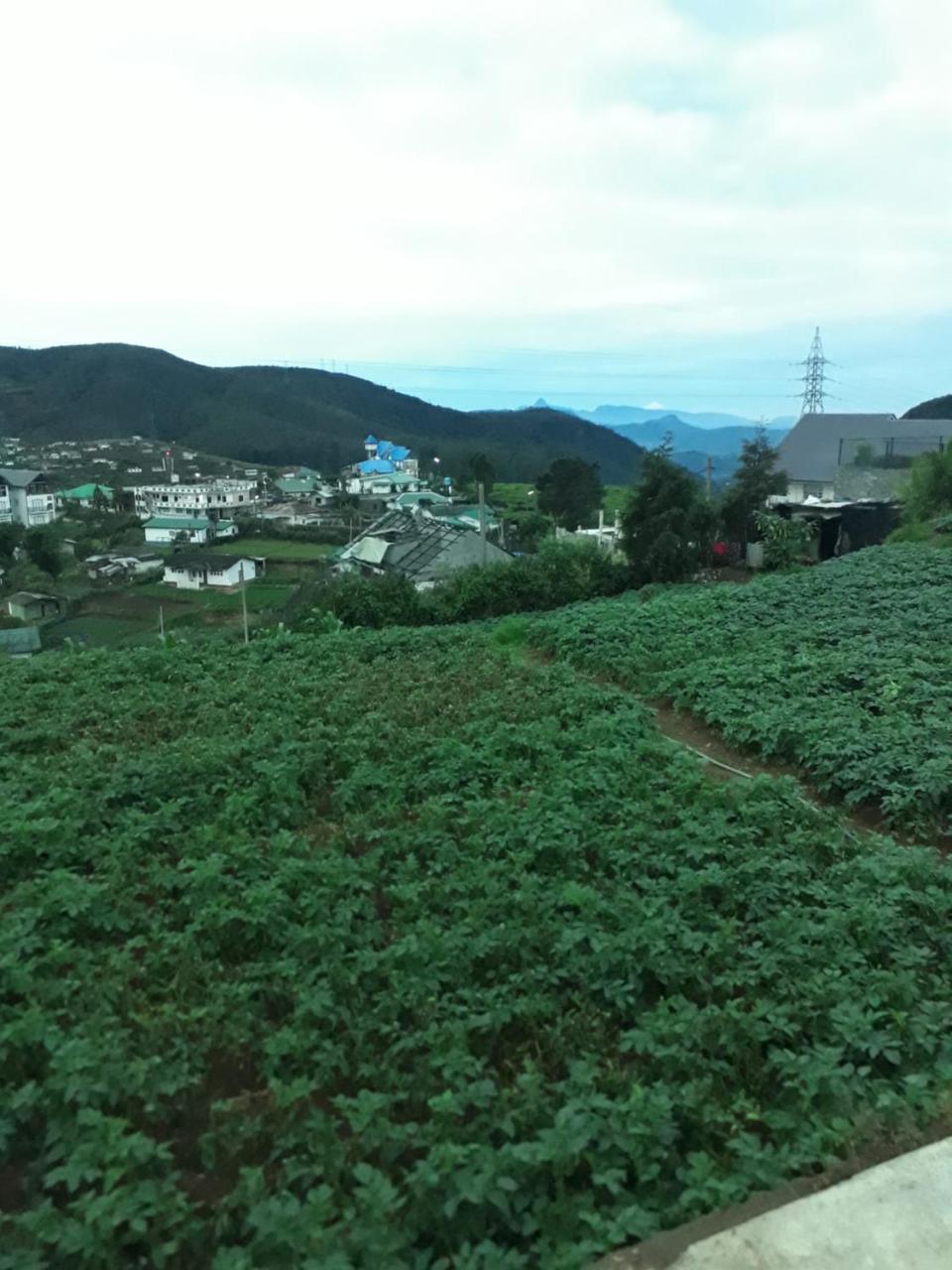 Rainyfreindz Hotel Nuwara Eliya Exterior foto